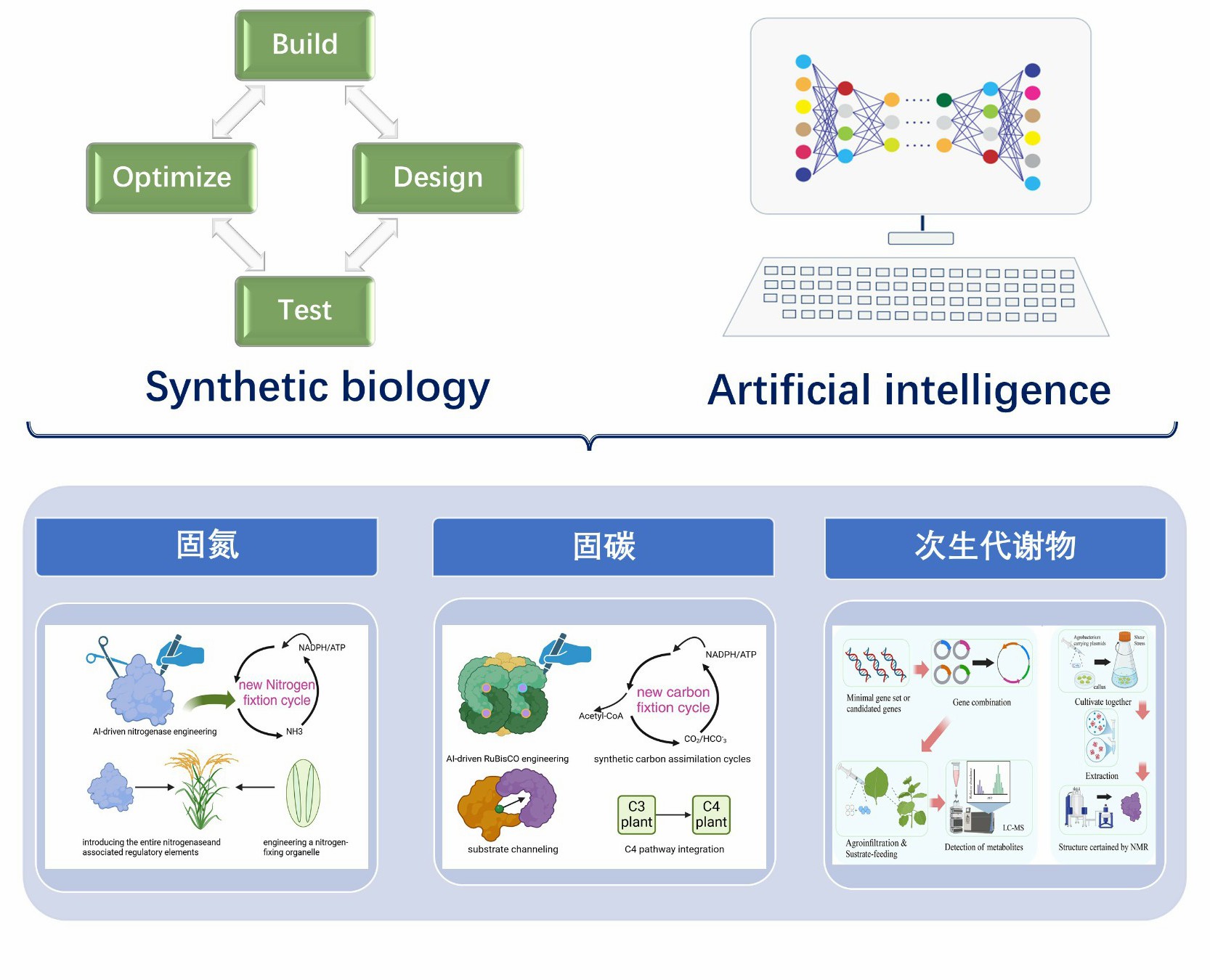 Research Banner